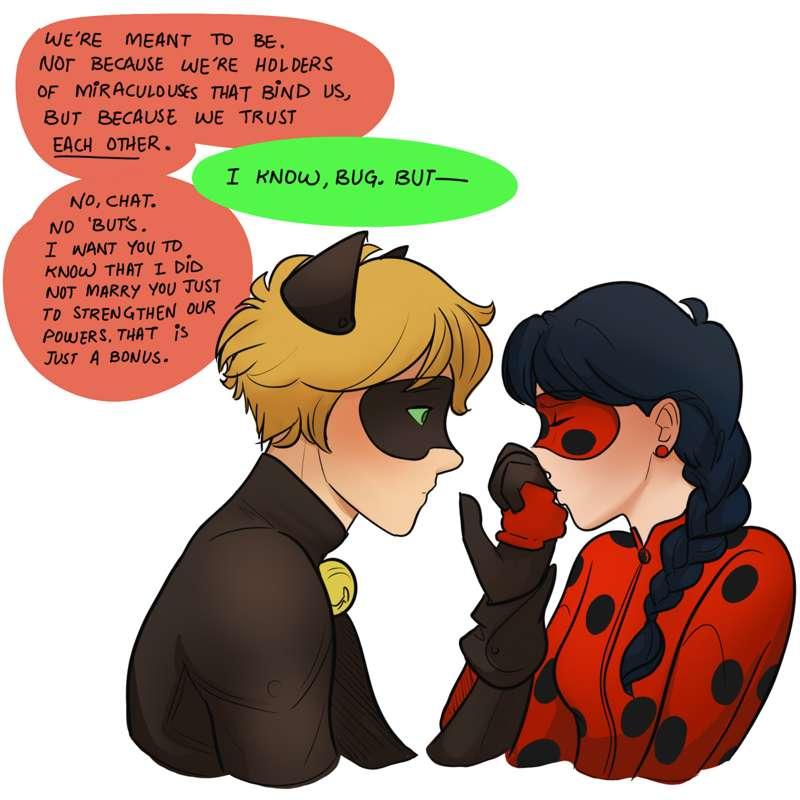Married Ladynoir AU