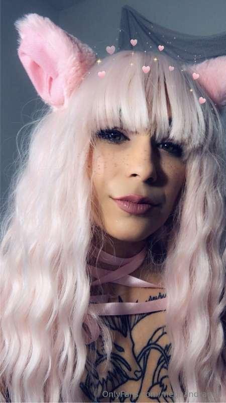 Some older photos here. Have some cat girl lingerie photos! ..