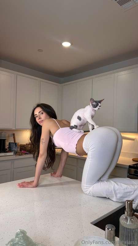 meow