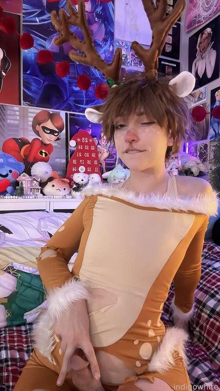 indigowhite image #13