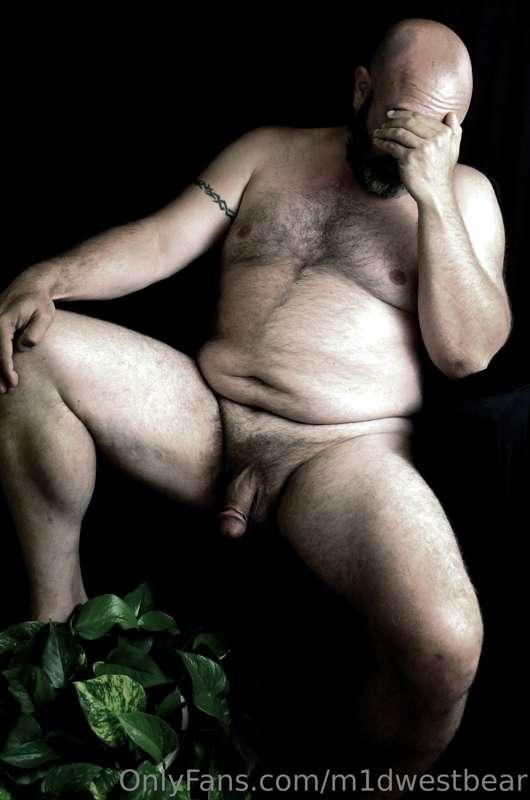m1dwestbear image #0