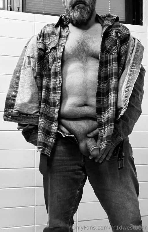 m1dwestbear image #5