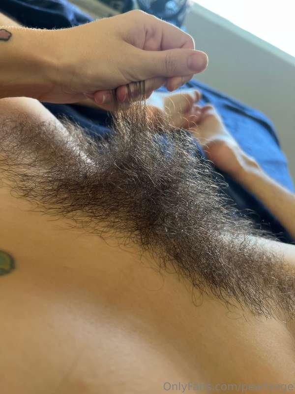 My bush from my POV! So gorgeous! 