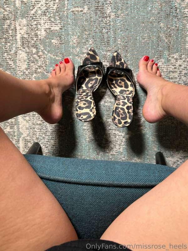 missrose_heels image #1