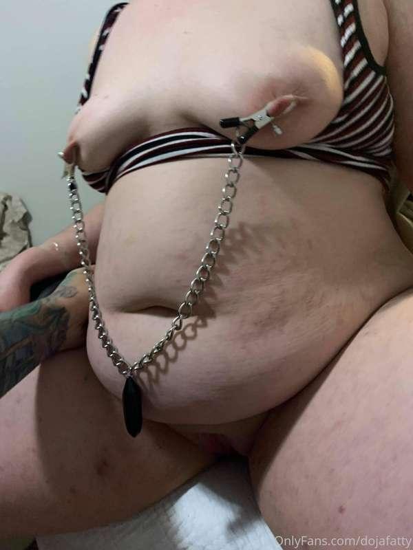 🐷🐷🐷
