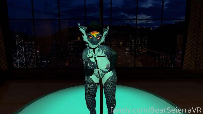 bearseierravr image #4