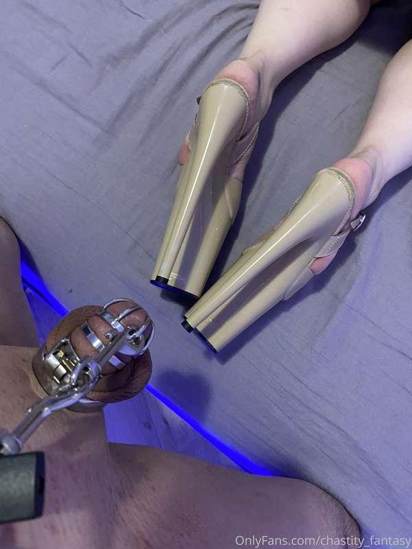 chastity_fantasy image #0