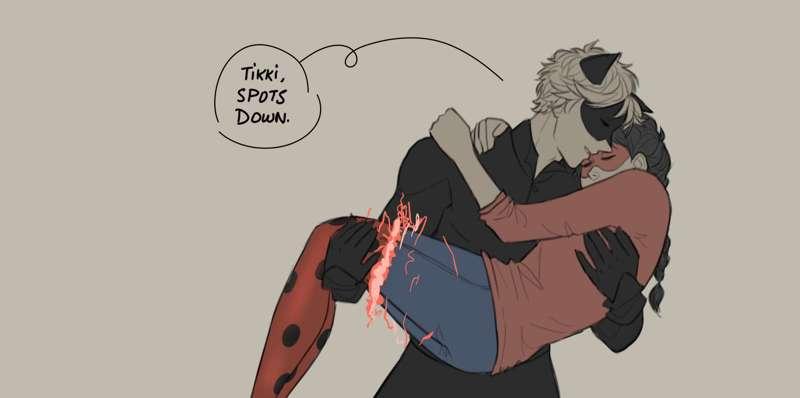 Power Down- Married Ladynoir AU