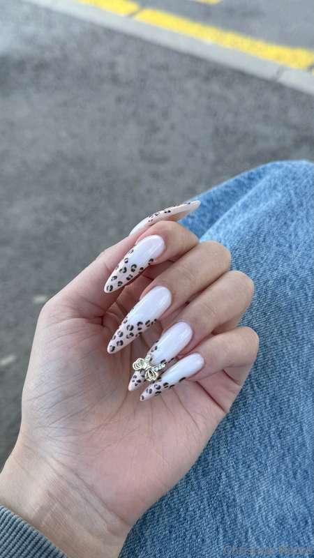 What do you guys think?🐆