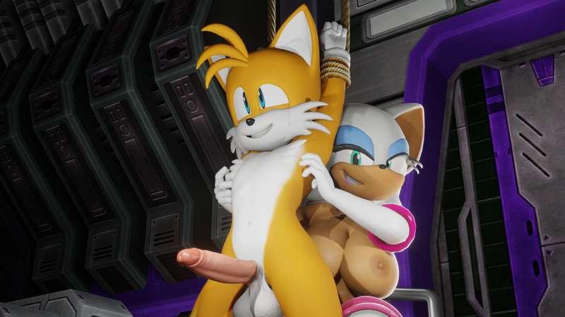 Tails & Rouge