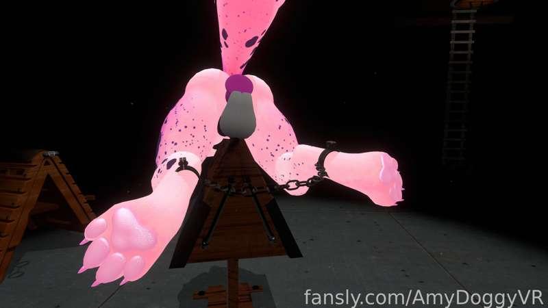 amydoggyvr image #12