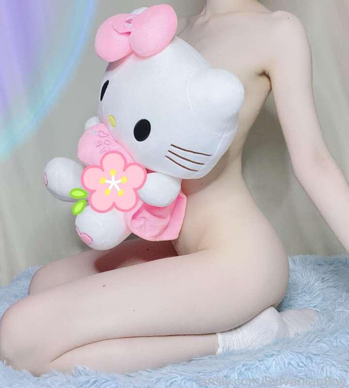 sylvanianboy image #1
