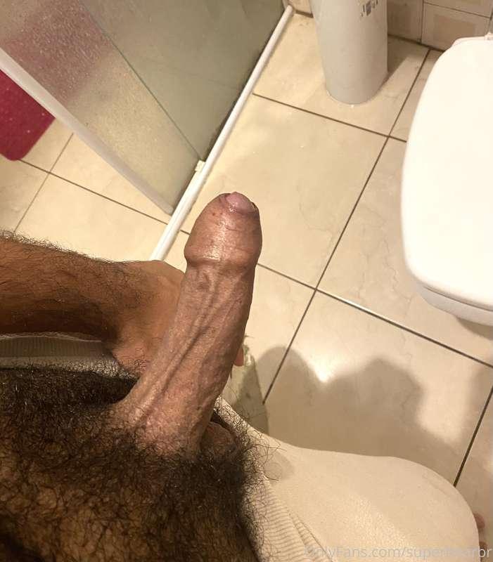 🐻🍆
