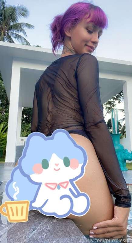 purrplesun image #3