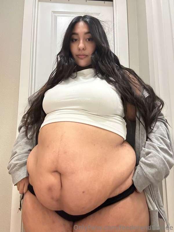 feederandfeedee image #0