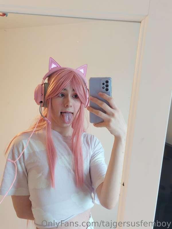 tajgersusfemboy image #1