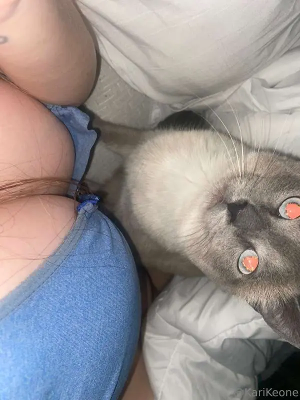 tiddy

kitty

:)

gmgm 🌅 ♥️