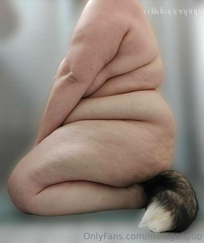 Do I sit pretty like a good pup?