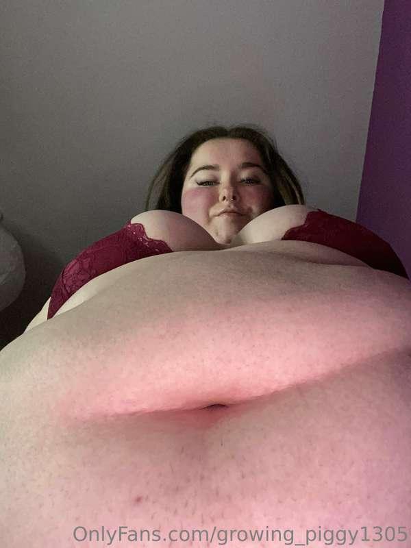 growing_piggy1305 image #0