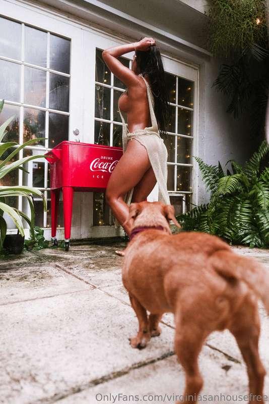 What was the puppy doing??? lol 🤣