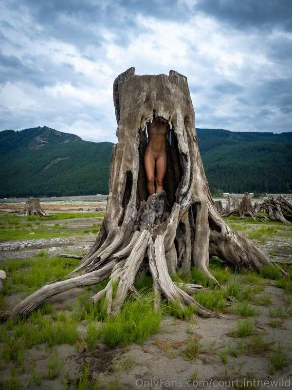 court.inthewild image #1