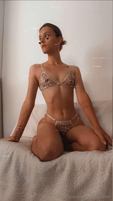 angelratfree main image