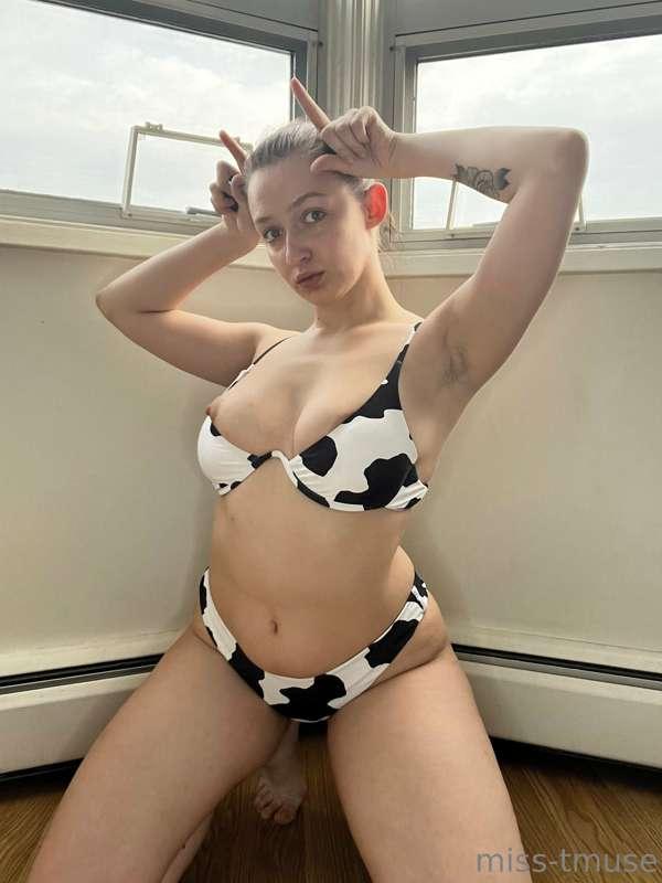 Moooo 🐮🐮🐮