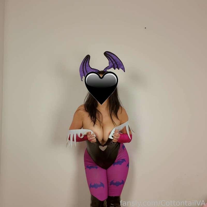 cottontailva image #13