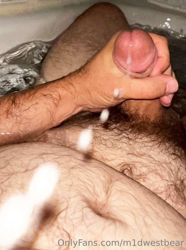 m1dwestbear image #6