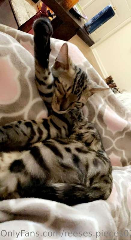 Uncensored pussy pics 🙈🙊🙊❤️