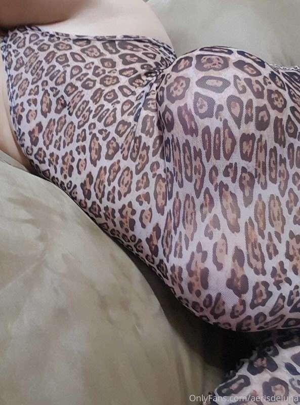 A night with a leopard, how about that? 🐱🐱