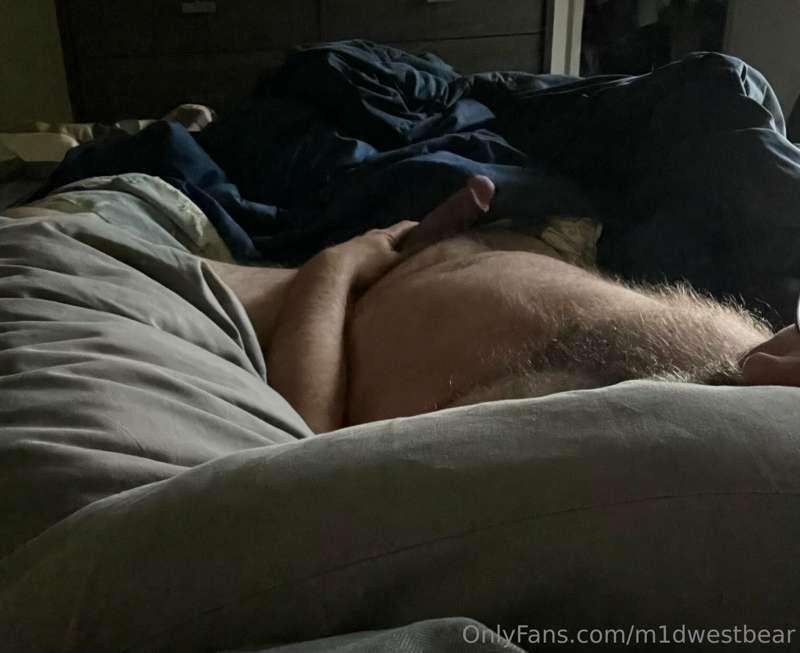 m1dwestbear image #9