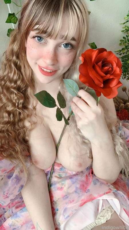 indigowhite image #68