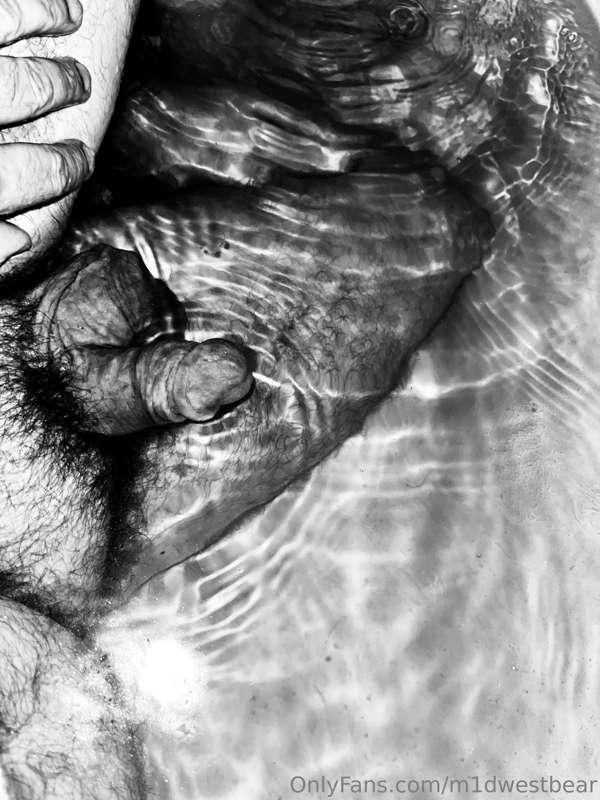 m1dwestbear image #6