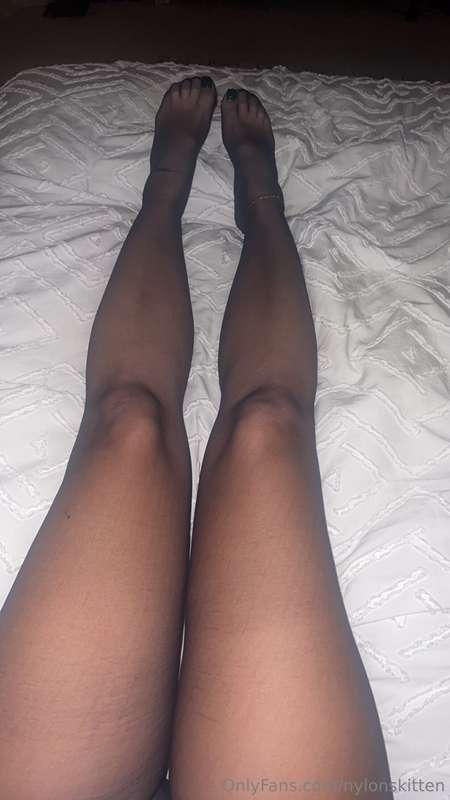 nylonskitten main image