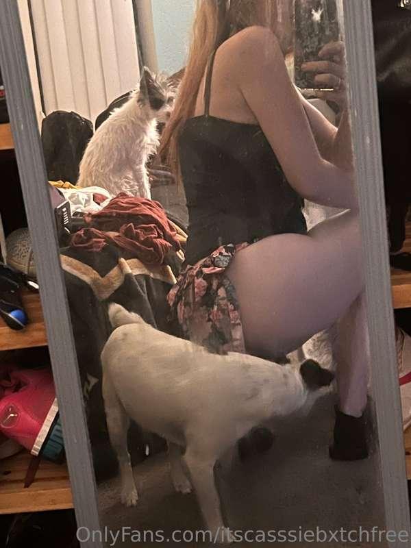 thecassiecurse image #0