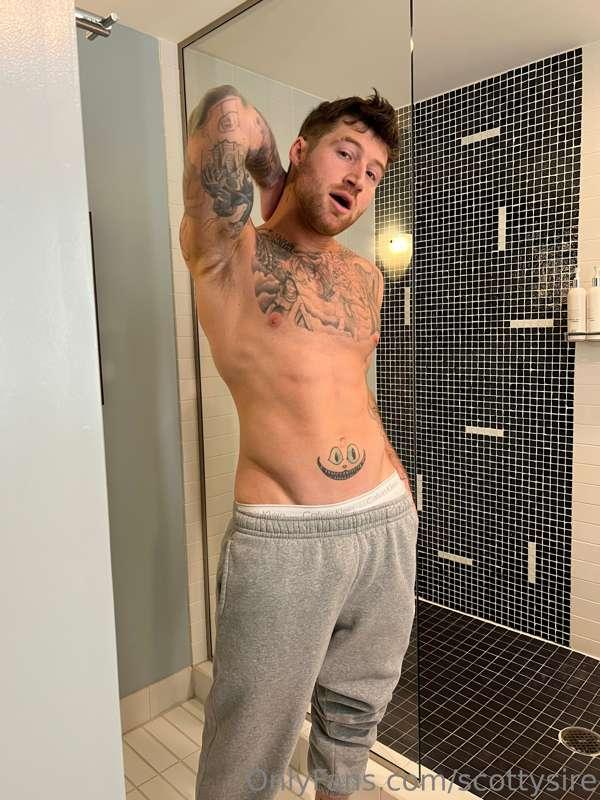 scottysire image #1