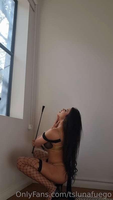 tslunafuego image #8