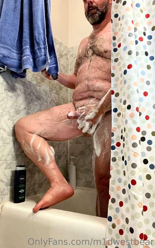 m1dwestbear image #4