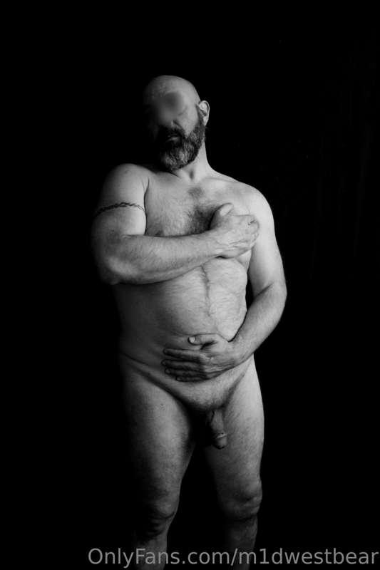 m1dwestbear image #13