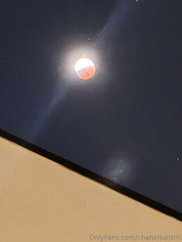 Did you catch the eclipse? 