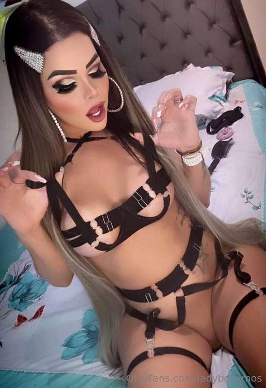 ladyboyxmos image #3