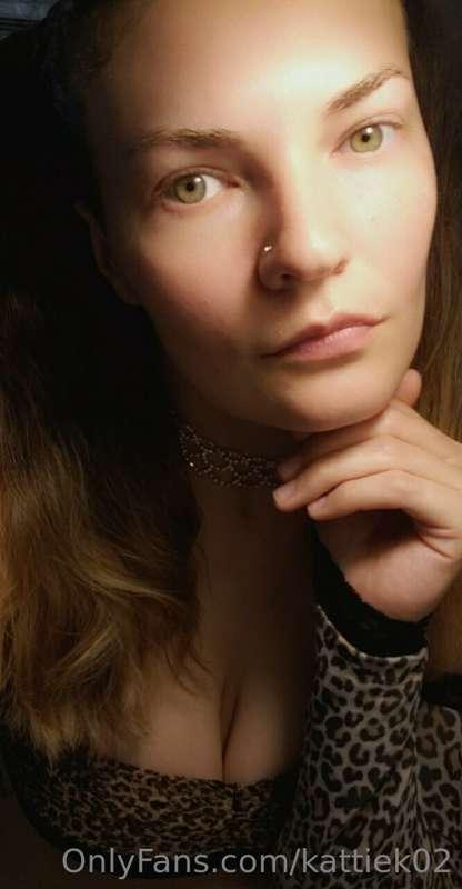 Just a cheetah 🐆 on the hunt for her next meal 🐖🐋🐎🐕