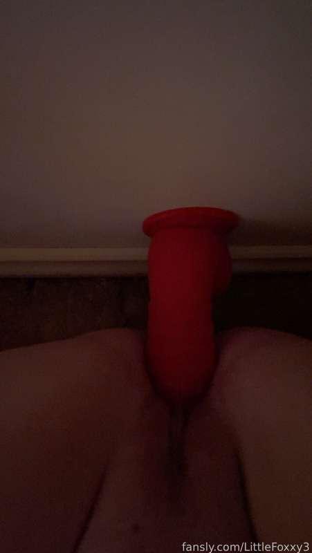 littlefoxxy3 image #4