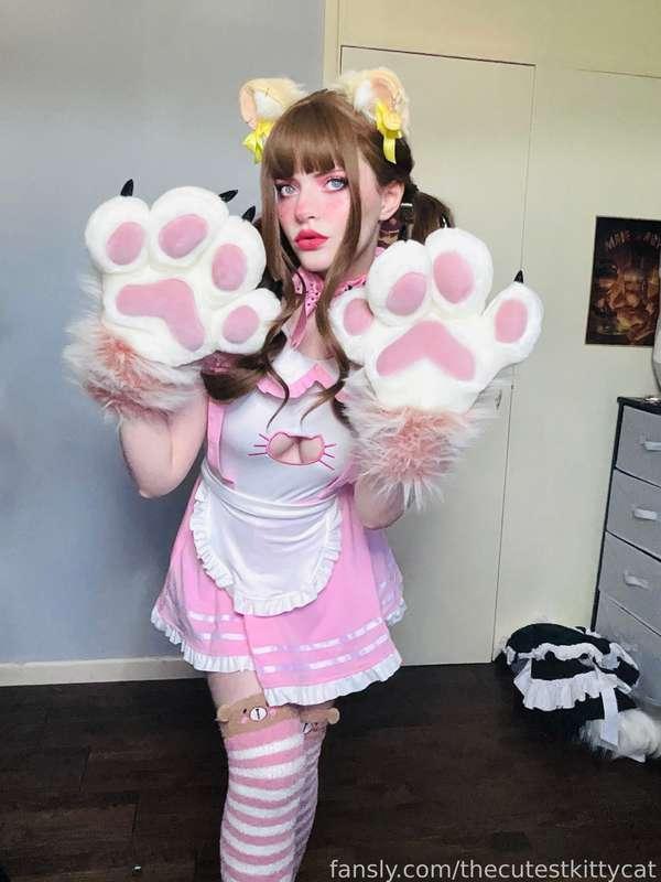 thecutestkittycat image #6