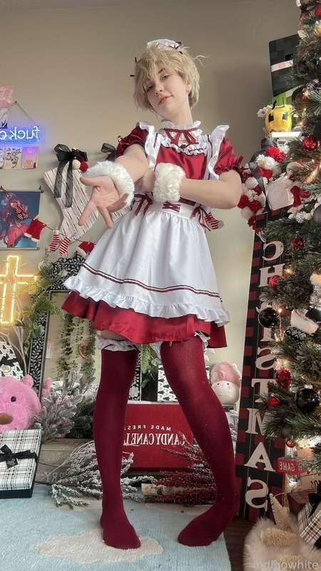 indigowhite image #11