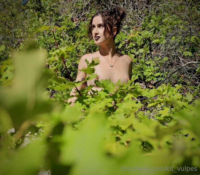Would you peek behind the leaves to see? 👀