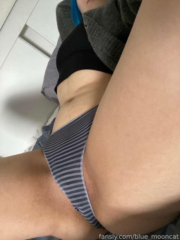 blue_mooncat image #1