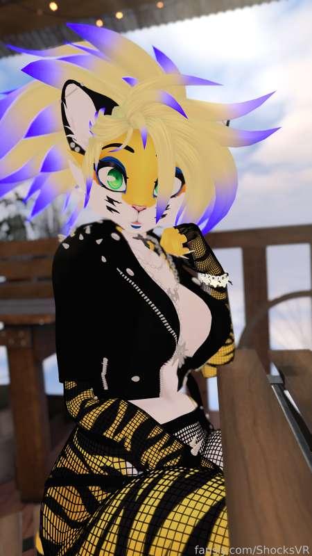 shocksvr image #5