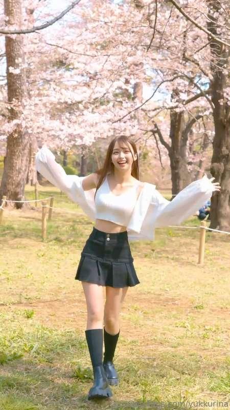 Cherry Blossoms (Sakura) in Japan🌸🌸🌸